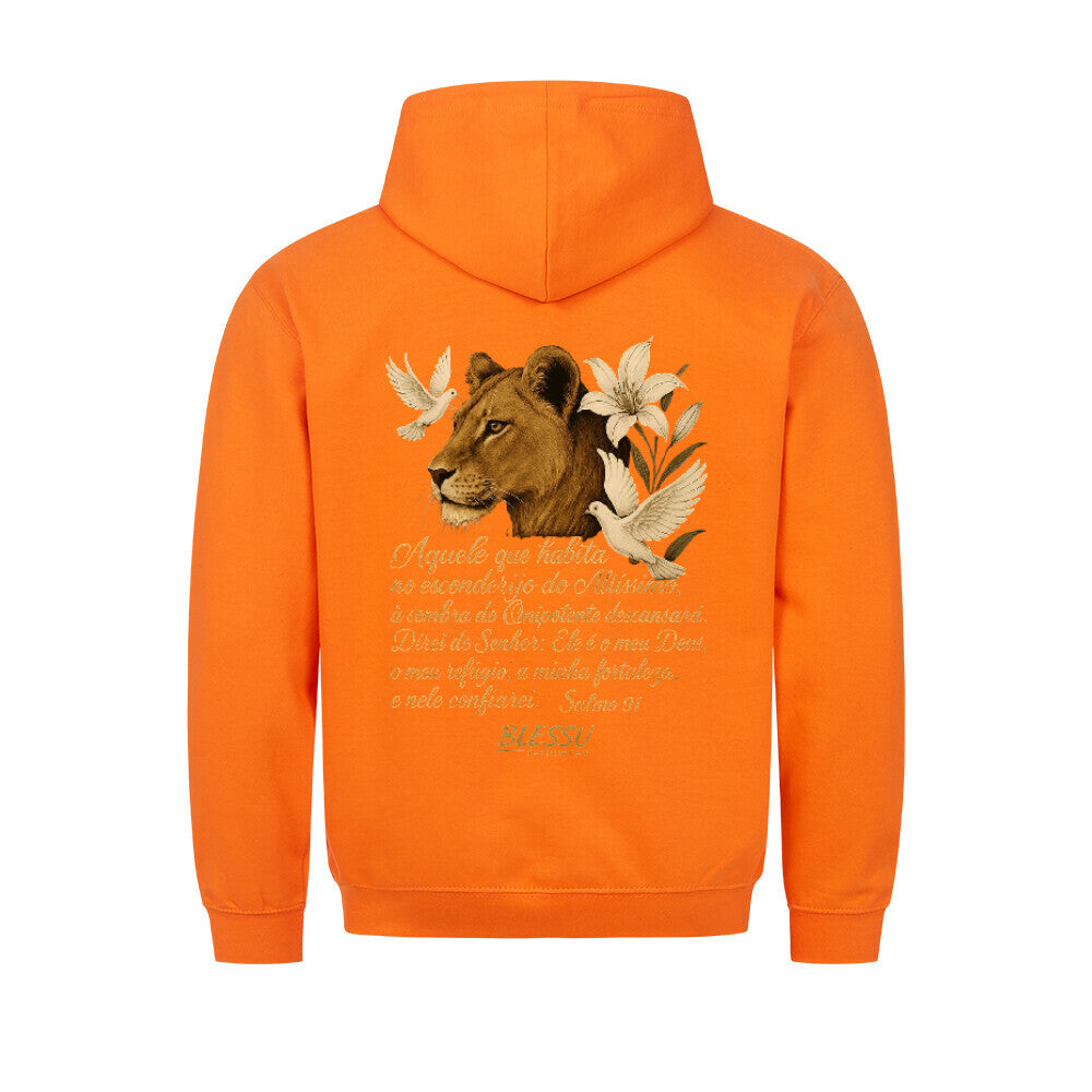 Image for color: orange