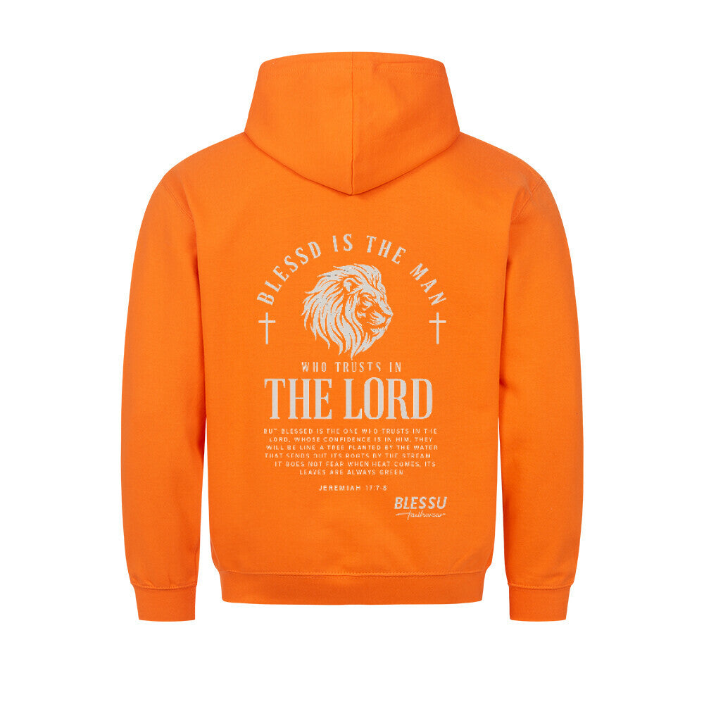 Image for color: orange