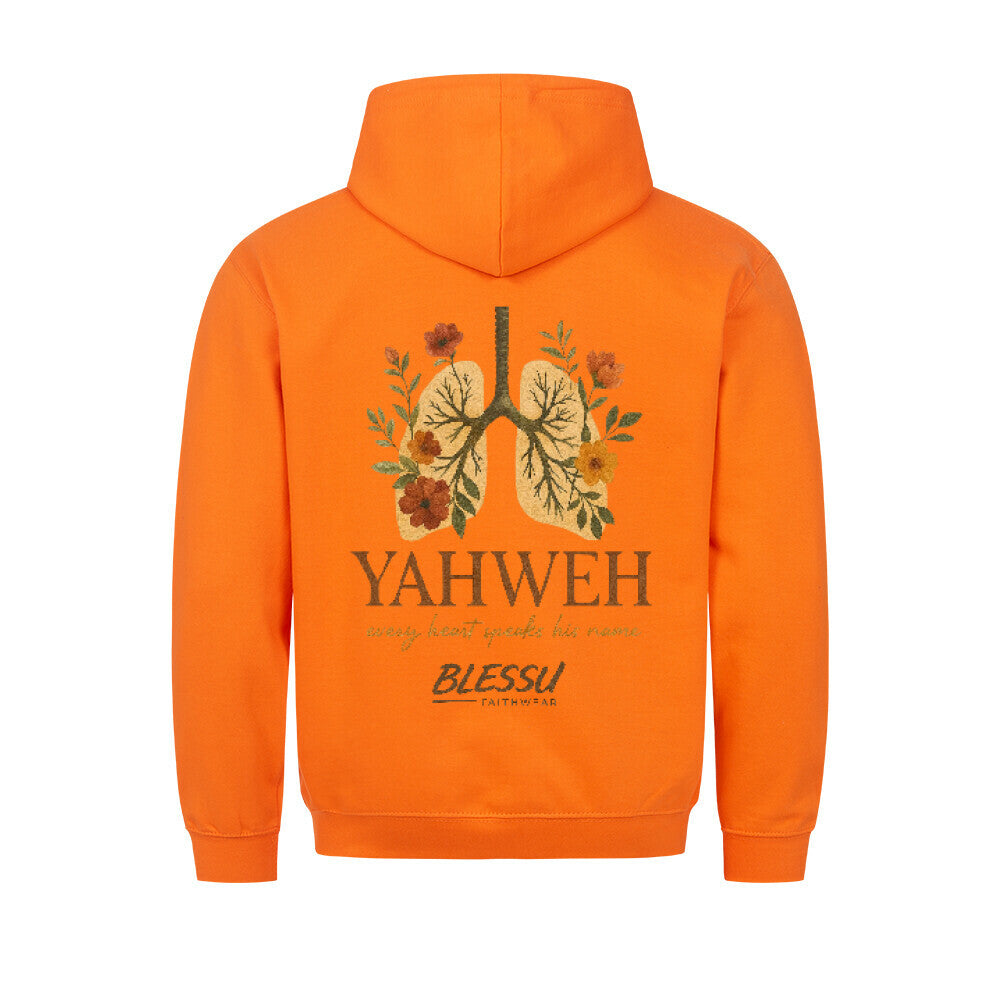 Image for color: orange